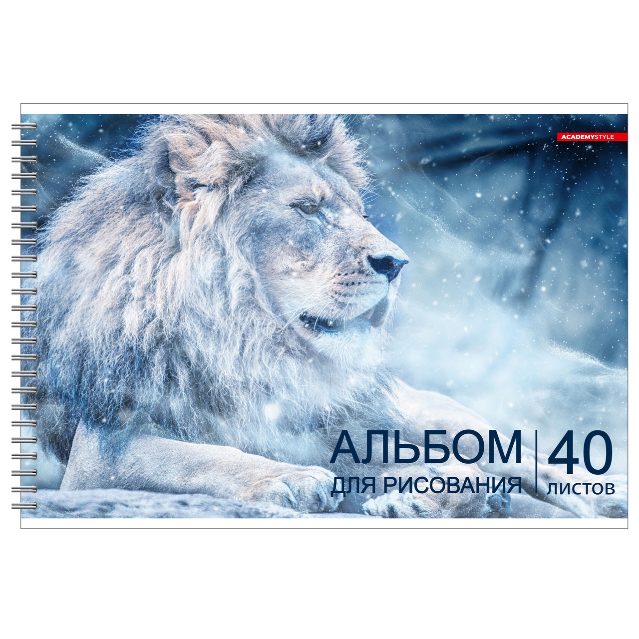 АЛЬБОМ A4/40Л/100Г СПИР AS