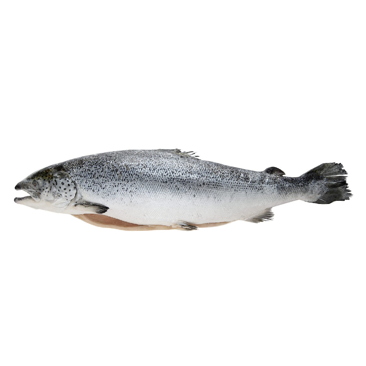 METRO Chef Лосось потрошеный с головой свежемороженый, ~5-6кг