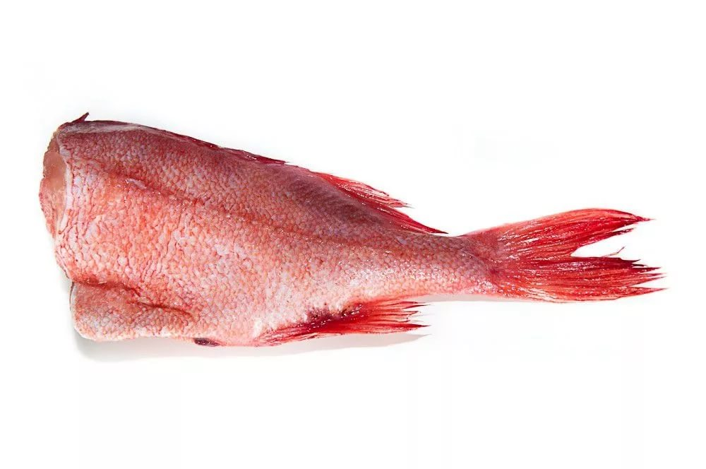Окунь красный морской потрошенный без головы, 300-500г