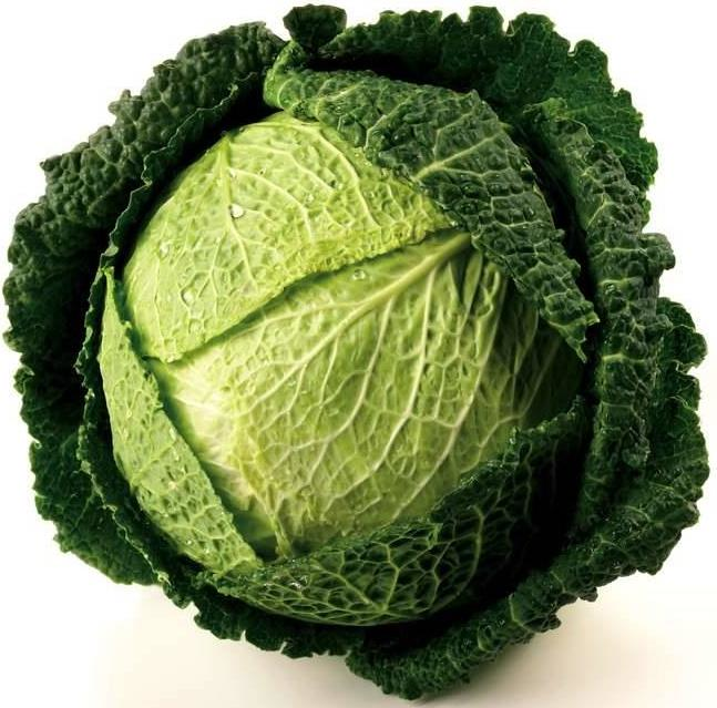 Капуста савойская