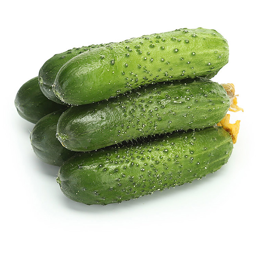 Огурцы короткоплодные, ~30-50г/шт