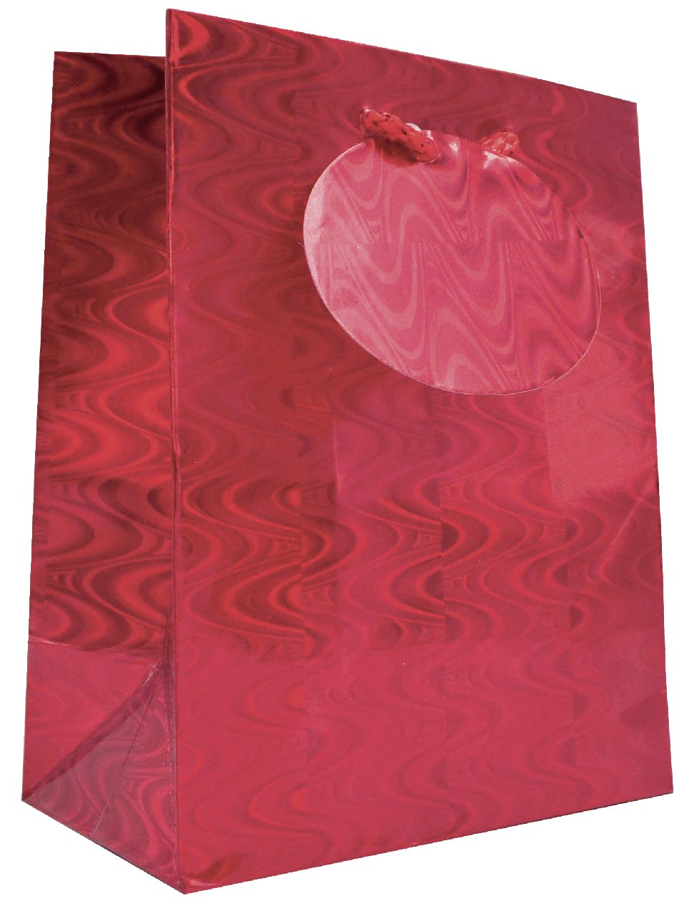 Winter Wings Пакет подарочный голография 26х32,4х13см