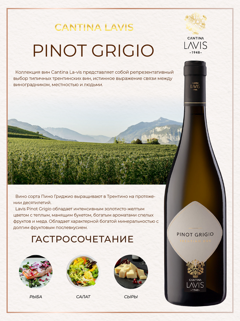 Вино Lavis Pinot Grigio белое сухое, 0.75л