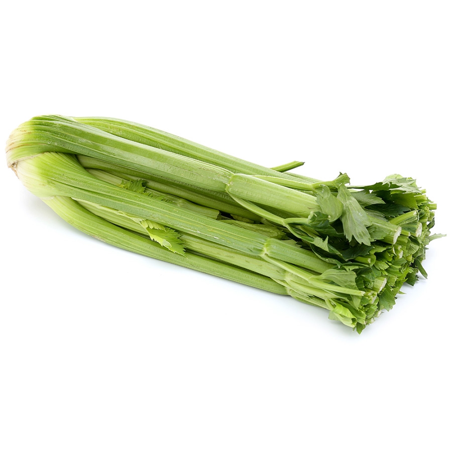 СЕЛЬДЕРЕЙ СТЕБЕЛЬ КНОПКА 216