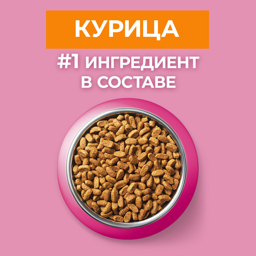 Корм сухой Purina One для котят курица-цельные злаки, 750г