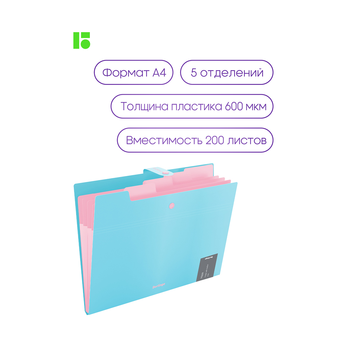Папка Berlingo Haze 5 отделений А4 600мкм