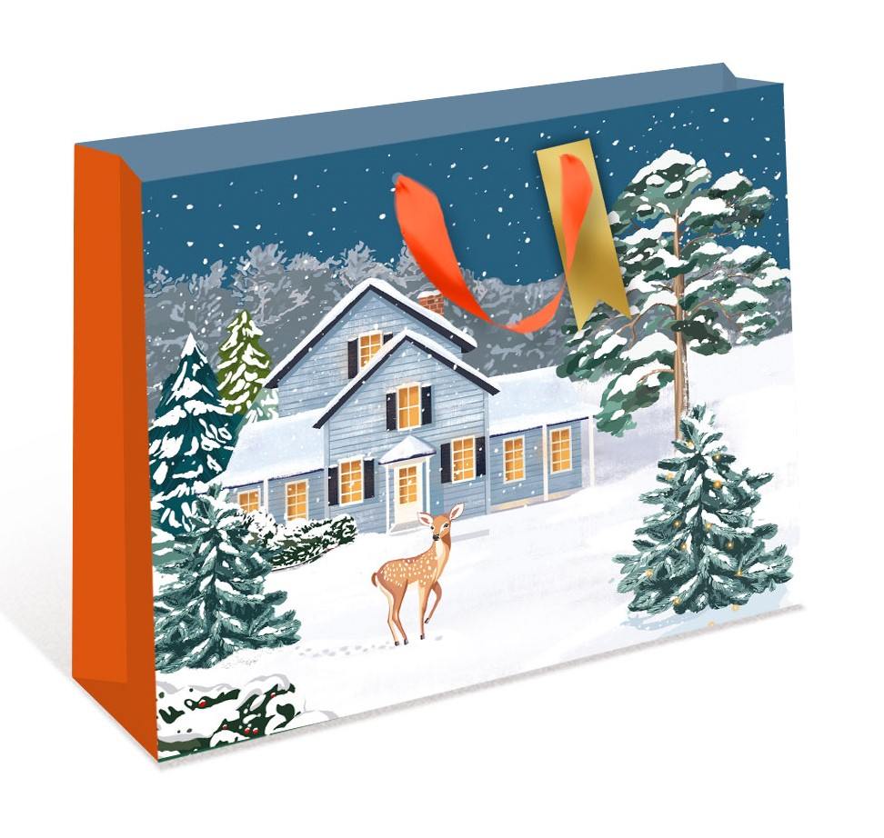 Сумка подарочная Арт и Дизайн бумажная ААА, 50 x 40см Сумка подарочная Арт и Дизайн бумажная ААА, 50 x 40см