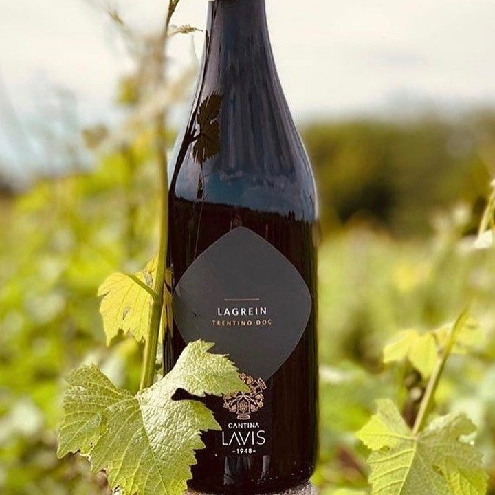 Вино Lavis Lagrein красное сухое, 0.75л