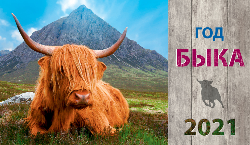 Календарь Арт и Дизайн Домик горизонтальный 210 х 122 мм