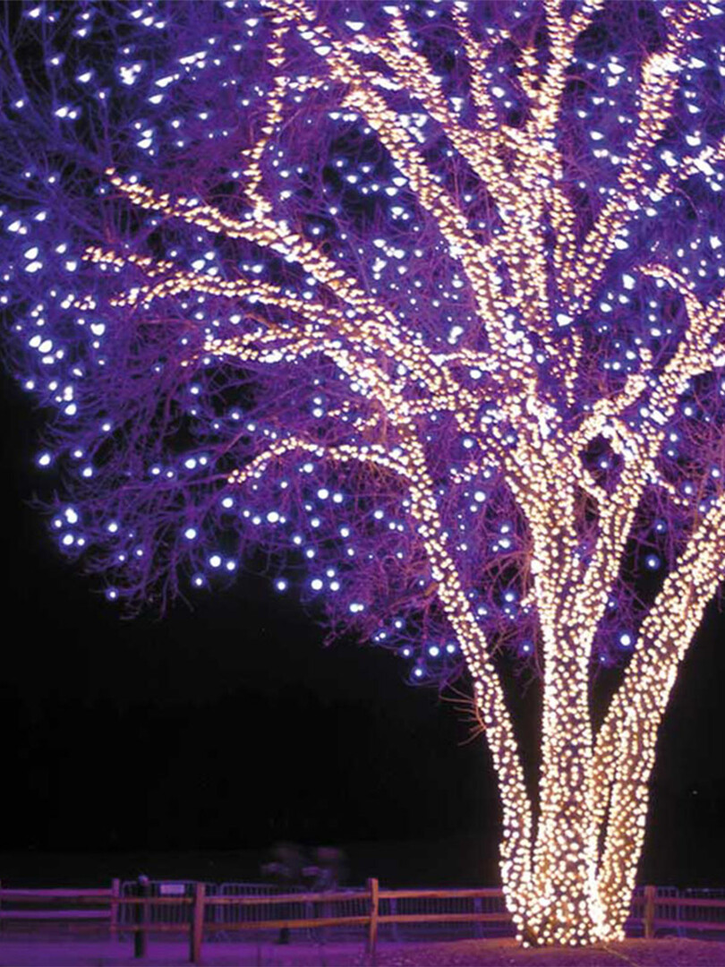 Гирлянда нить Glos 50Led холодный белый, 5м