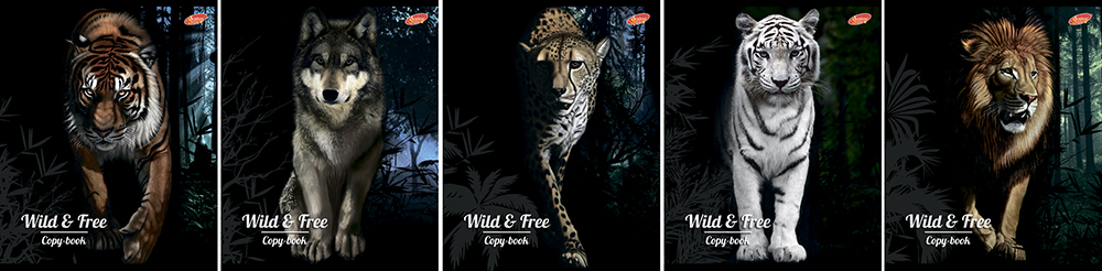 Тетрадь ACADEMY STYLE линия 48 листов