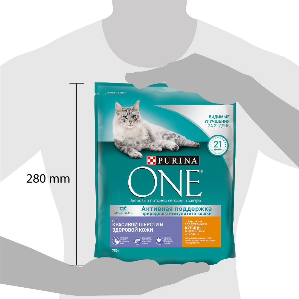 Корм сухой Purina One для красивой шерсти, с курицей и цельными злаками 750г