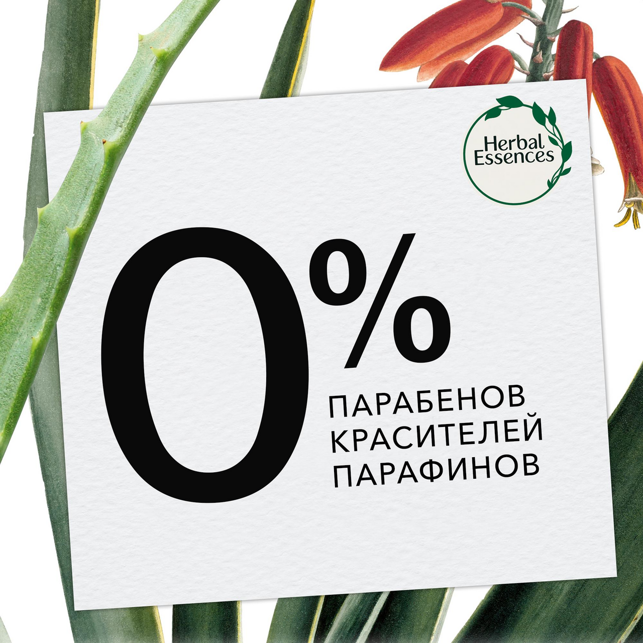 Шампунь Herbal Essences Марокканское аргановое масло 400 мл