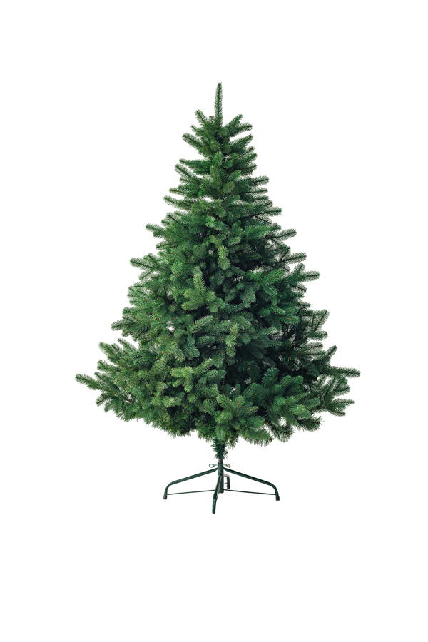 Елка Агния TARRINGTON HOUSE, 240 см