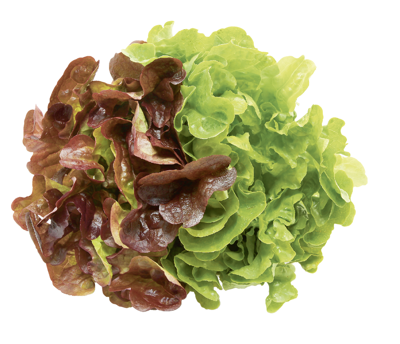 Салат Агрохолдинг Московский 3D микс 220г