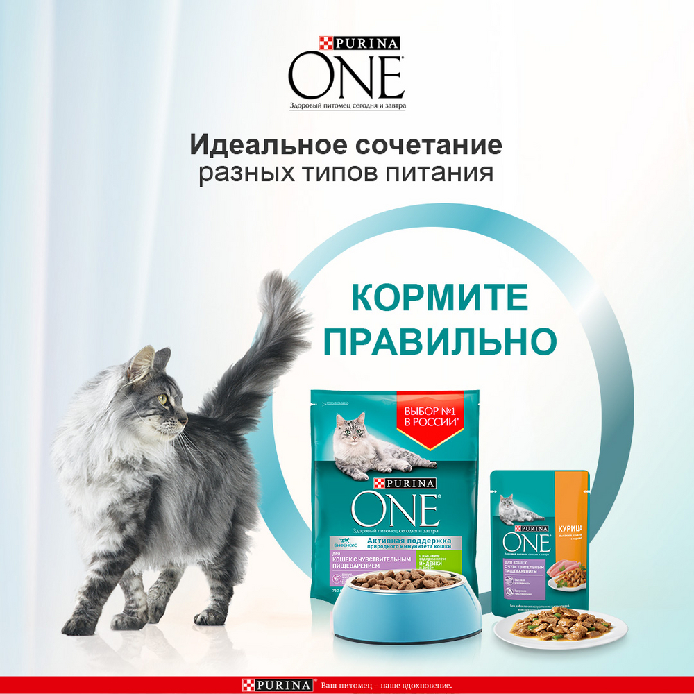 Корм сухой Purina One с индейкой и рисом для кошек с чувствительным пищеварением 1.5 кг