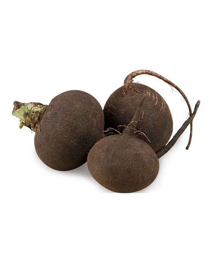 Редька зеленая ~300-500г/шт