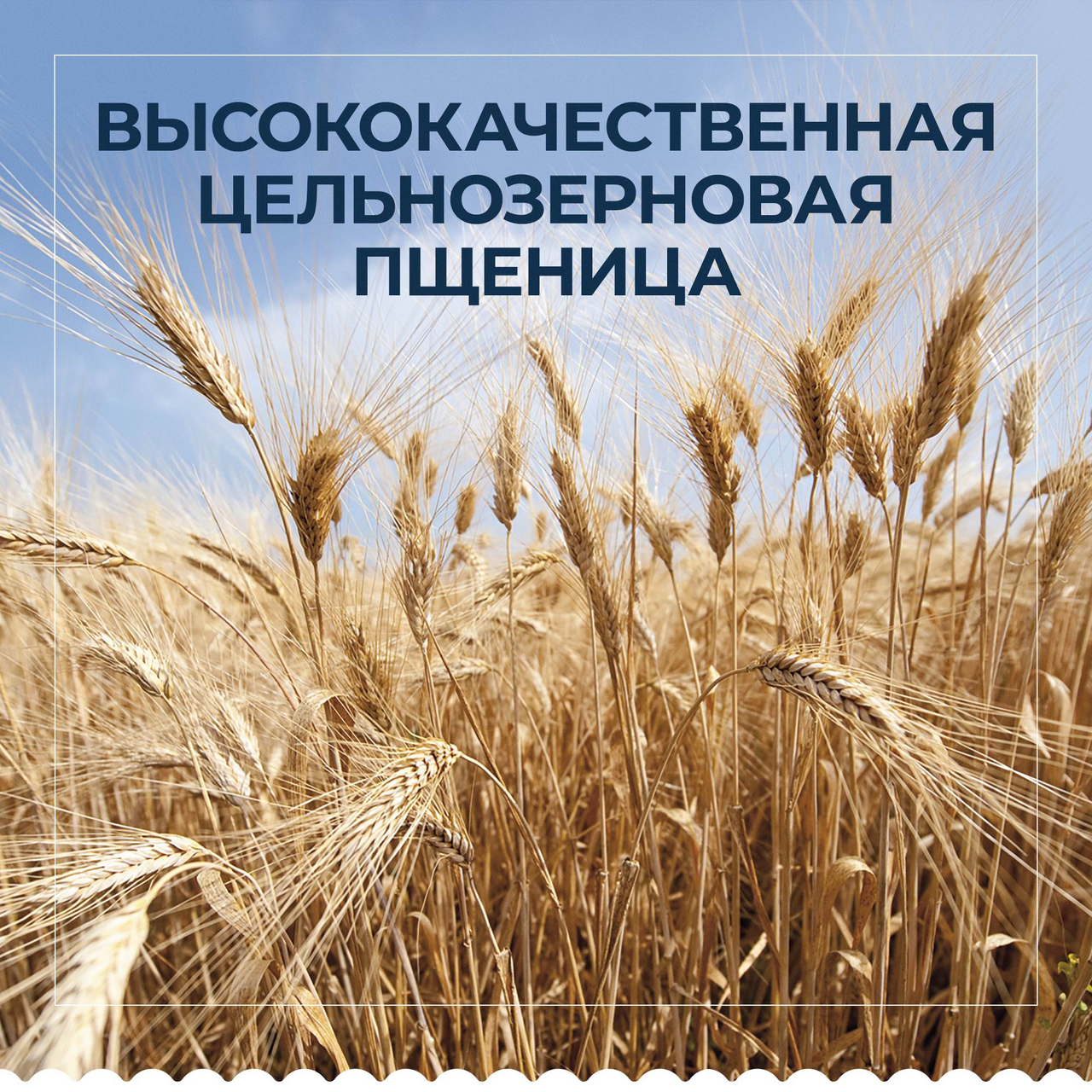 Макароны Barilla Integrale спагетти, 450г