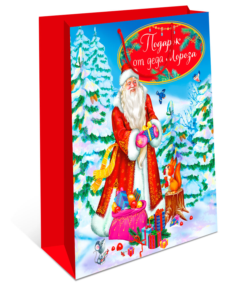 СУМКА ВС ЛАМ НГ 20*24*10 ARTD