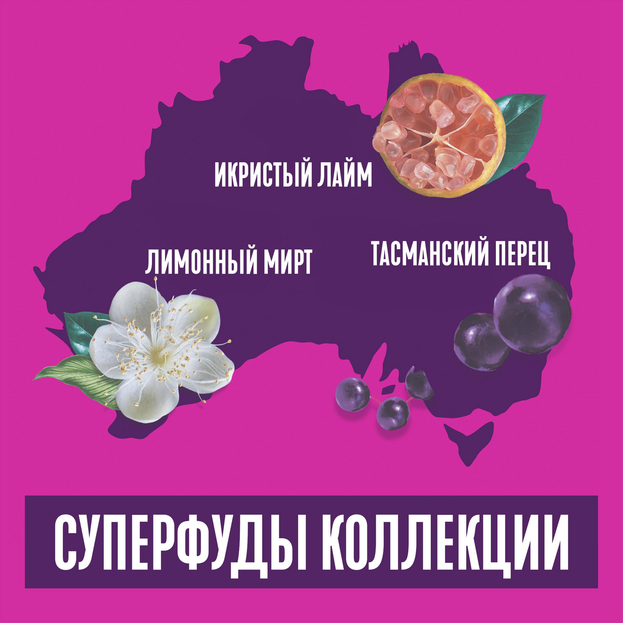 Шампунь Aussie Sos Глубокое восстановление, 290мл