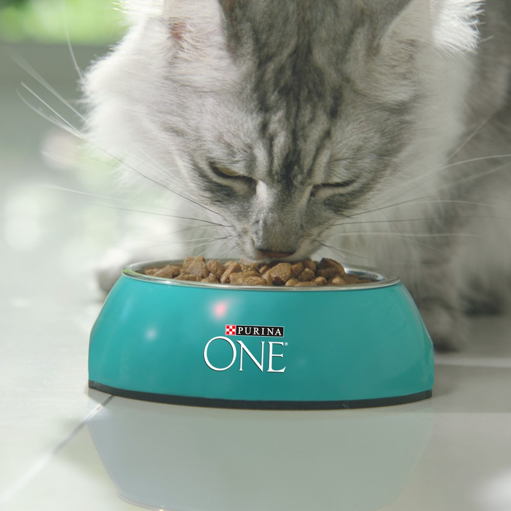 Корм сухой Purina One для красивой шерсти, с курицей и цельными злаками 750г