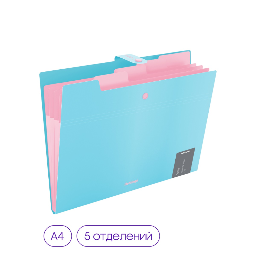 Папка Berlingo Haze 5 отделений А4 600мкм