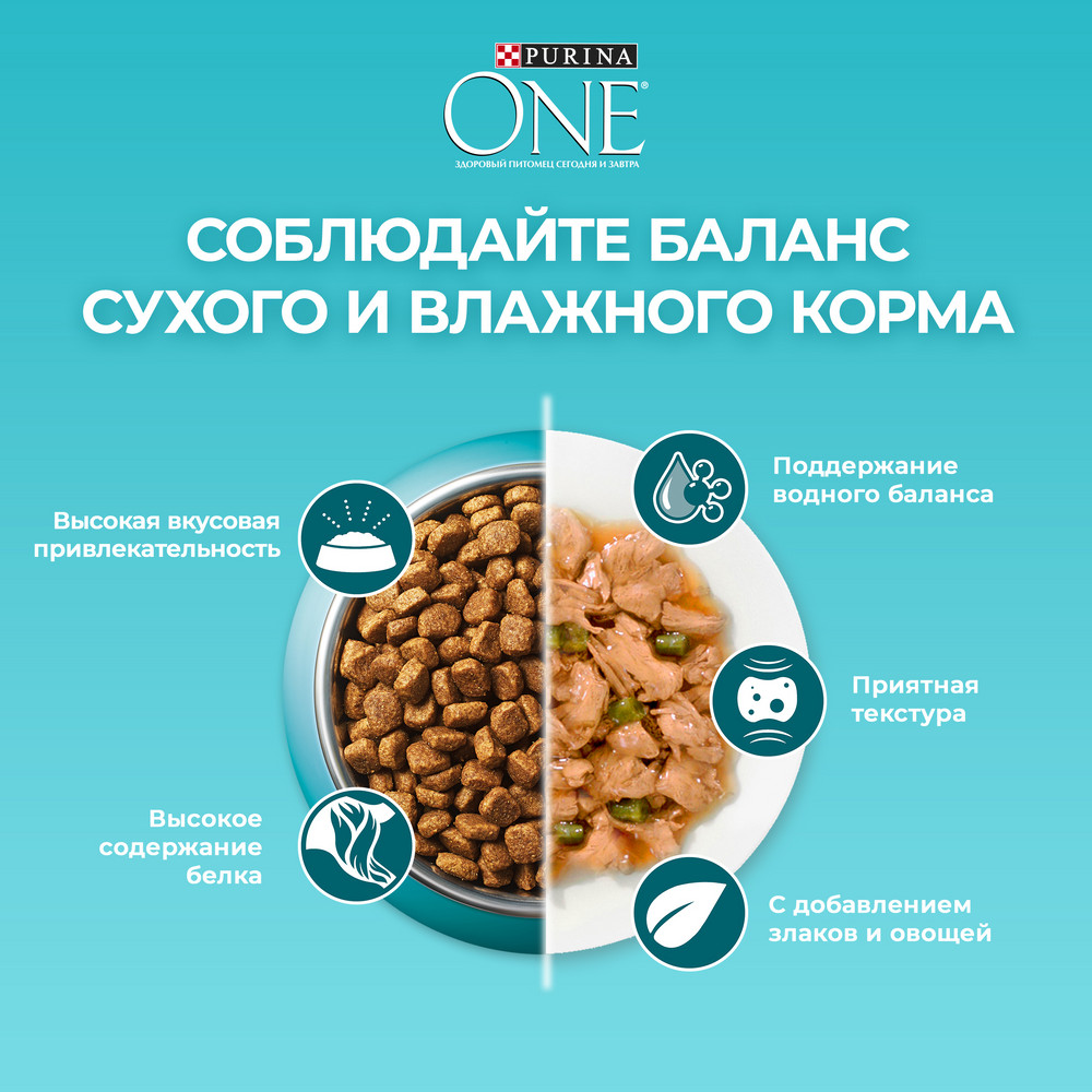 Корм сухой Purina One для взрослых кошек говядина-цельные злаки, 750г