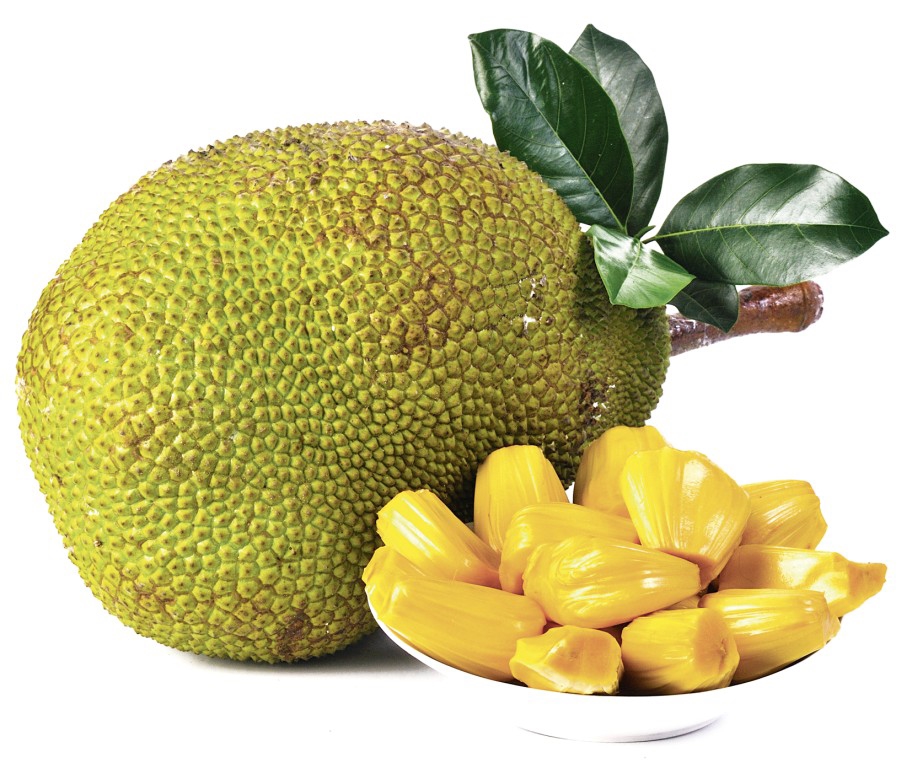 150Г ДЖЕКФРУТ ОЧИЩЕННЫЙ