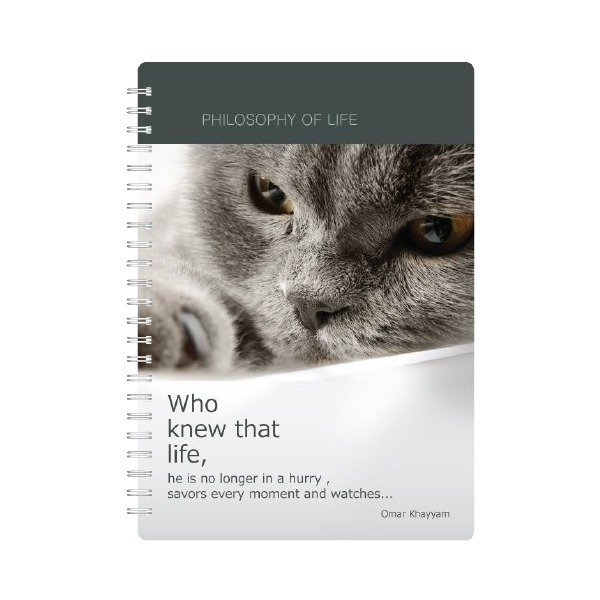 Тетрадь BE SMART А5 на спирали