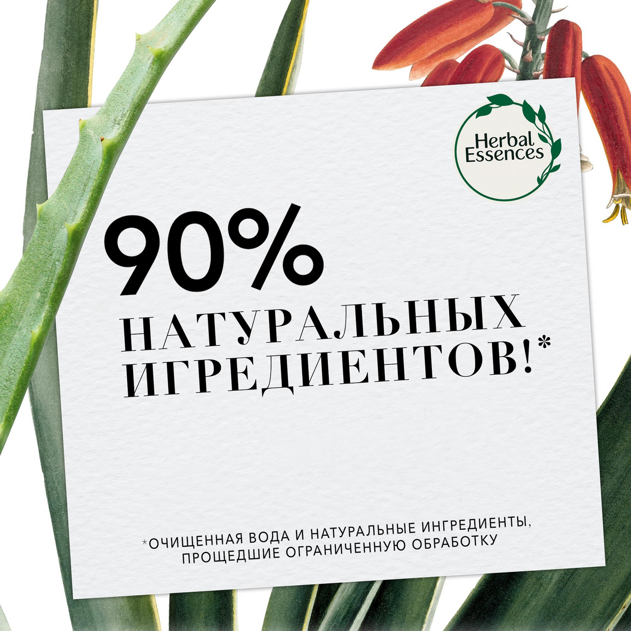 Шампунь Herbal Essences Марокканское аргановое масло 400 мл