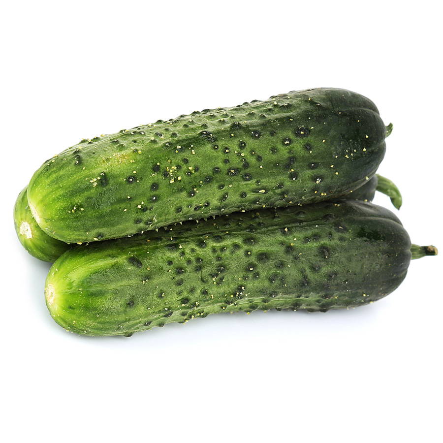 Огурцы короткоплодные