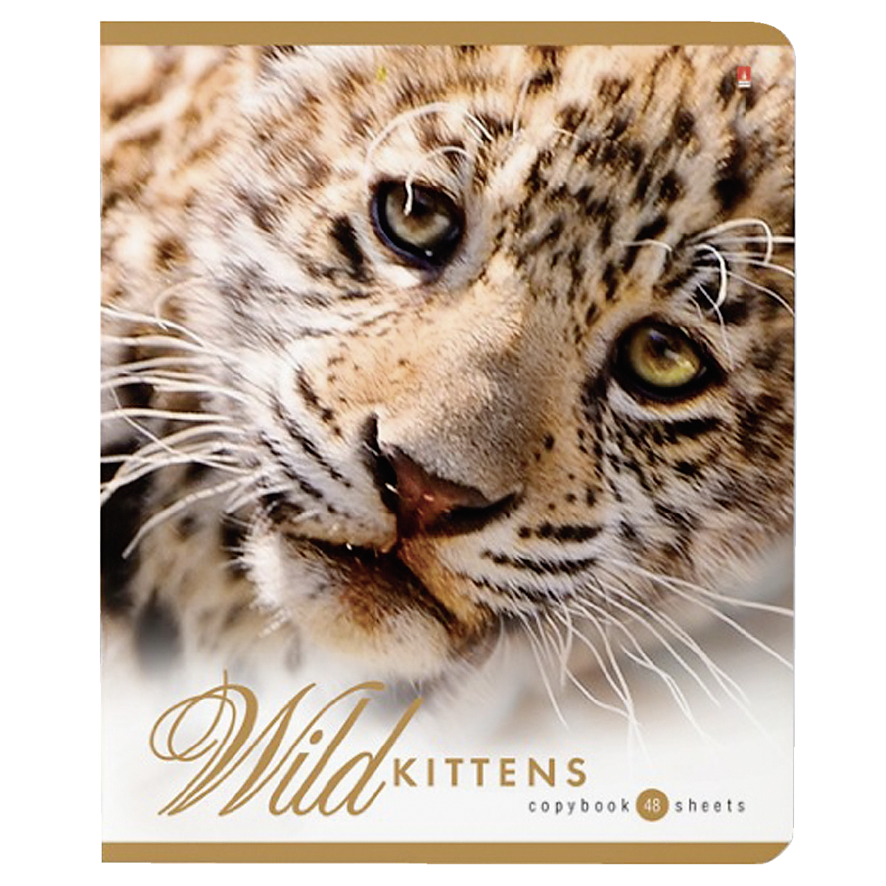 Тетрадь АЛЬТ клетка, 48 л