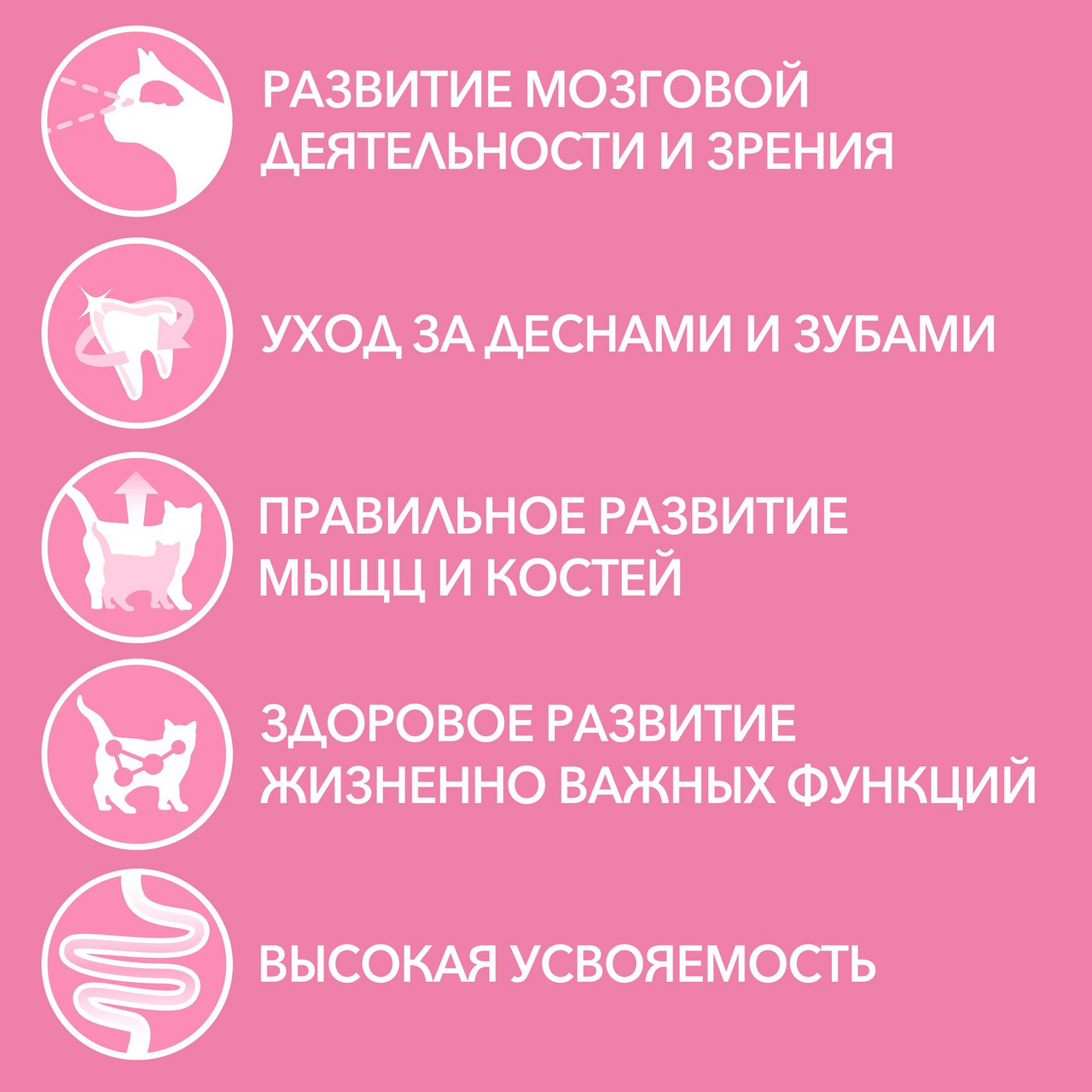 Корм Purina One для котят от 1 до 12 месяцев с курицей и морковью 75 г