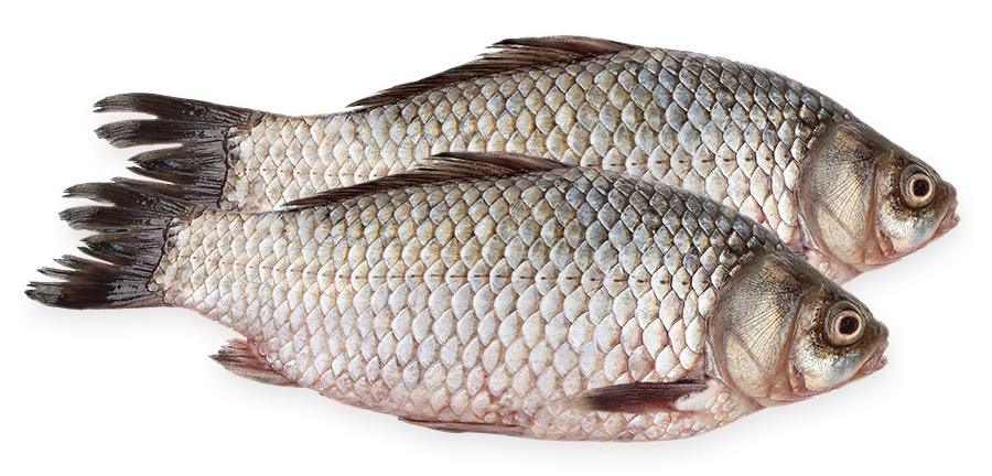 Карась охлажденный, ~200-300г