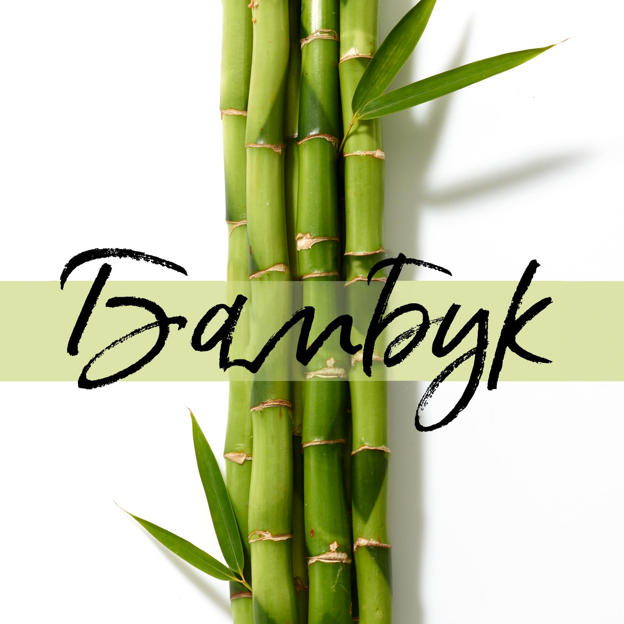 Шампунь Pantene Pro-V Укрепление от корней, 250мл