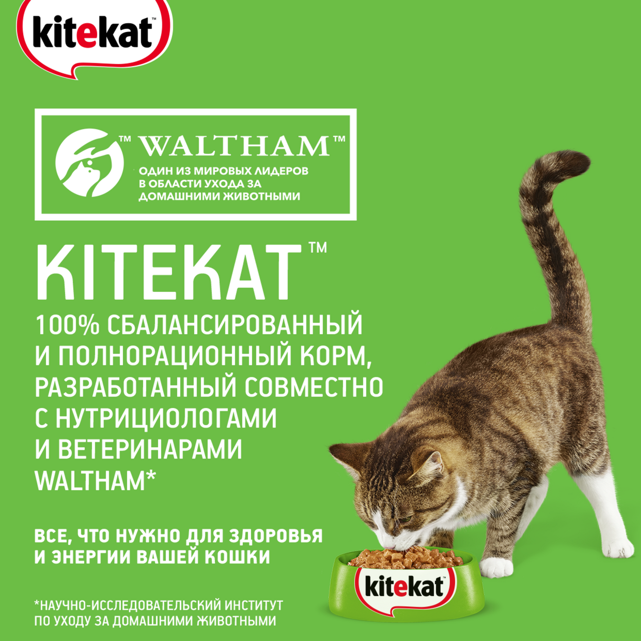 Корм для кошек сухой Kitekat Мясной пир, 800г