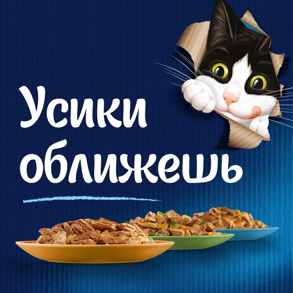 Корм влажный Felix Аппетитные кусочки курица-томат, 75г