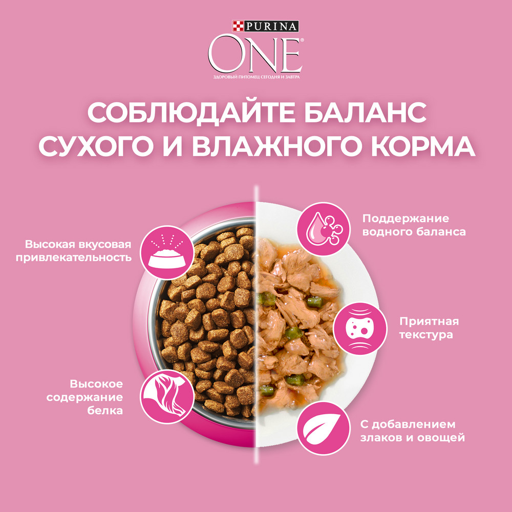 Корм сухой Purina One для котят курица-цельные злаки, 750г