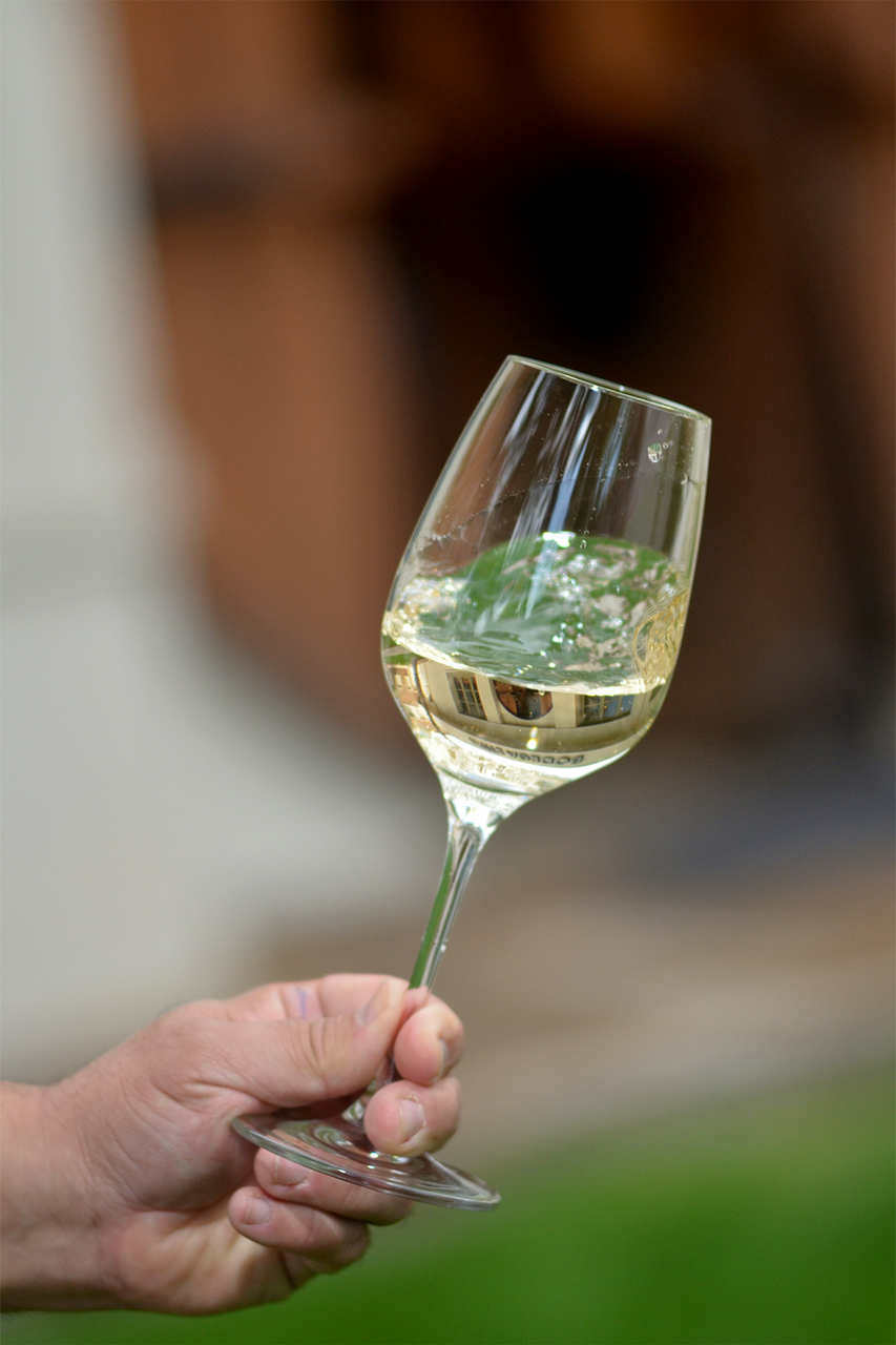 Вино La Sastreria белое сухое, 0.75л