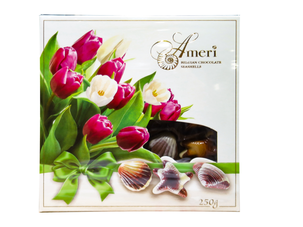 Шоколадные конфеты-ракушки Ameri с начинкой пралине 250г