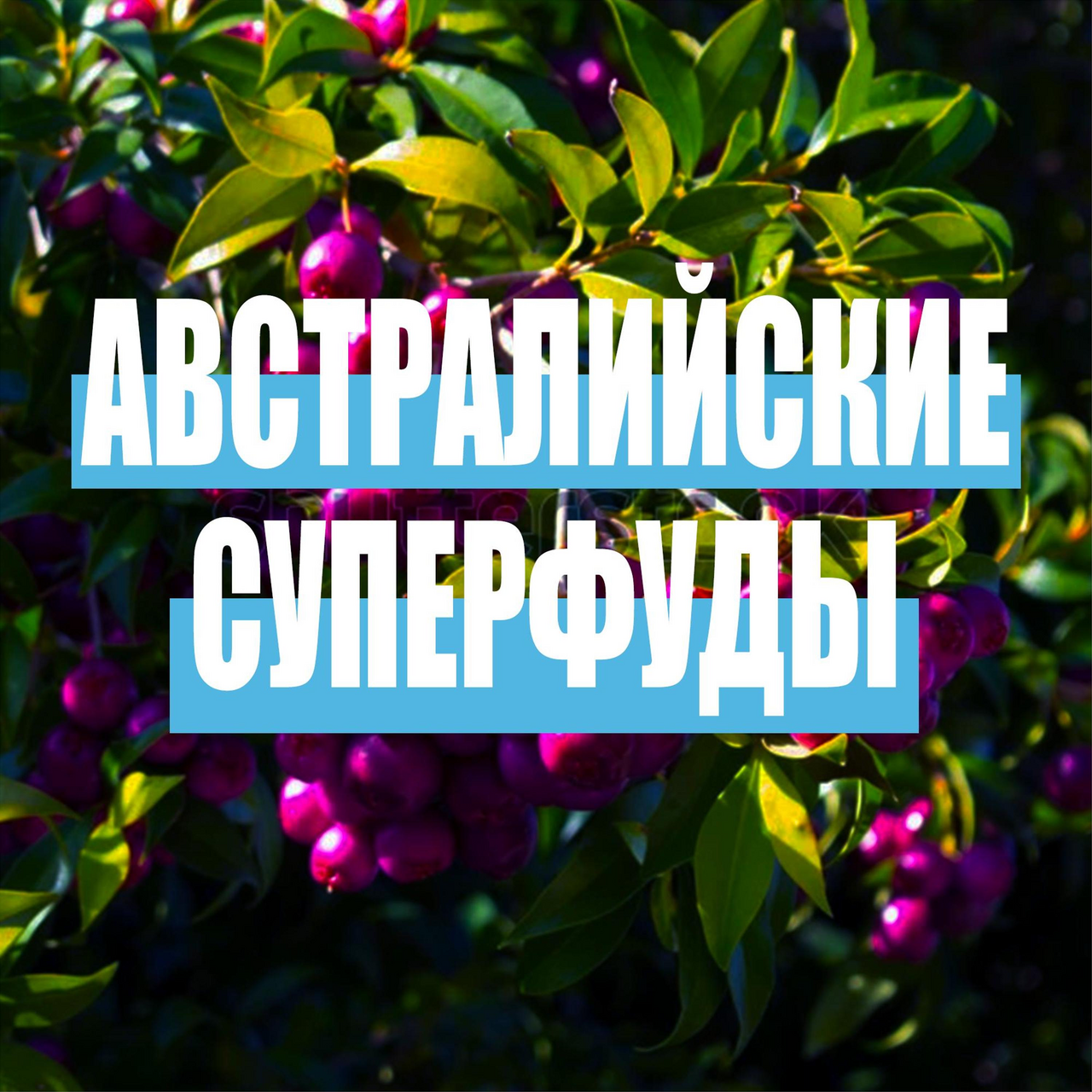 Маска для волос Aussie Sos Супер восстановление, 450мл