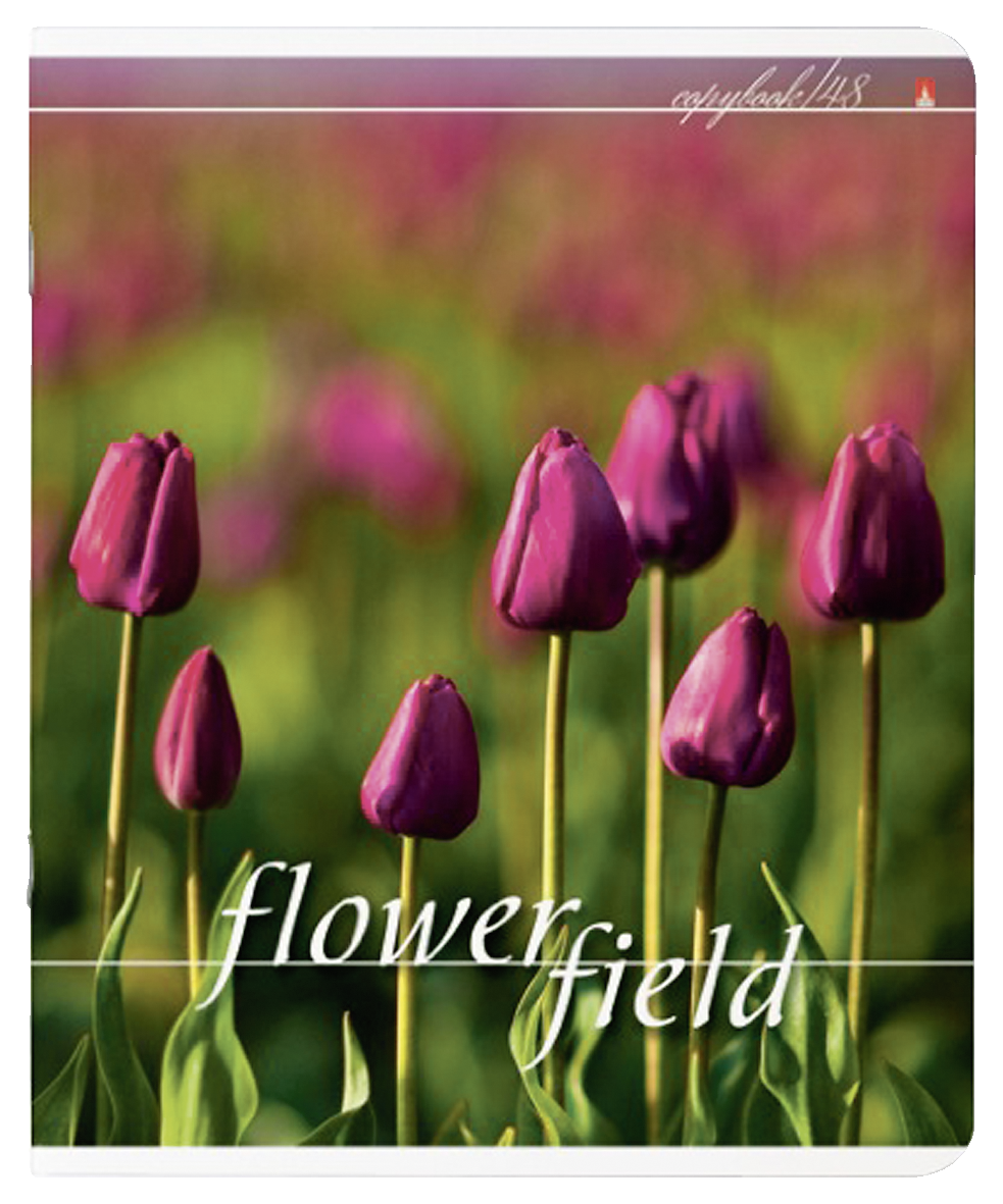 Тетрадь АЛЬТ клетка, 48 л