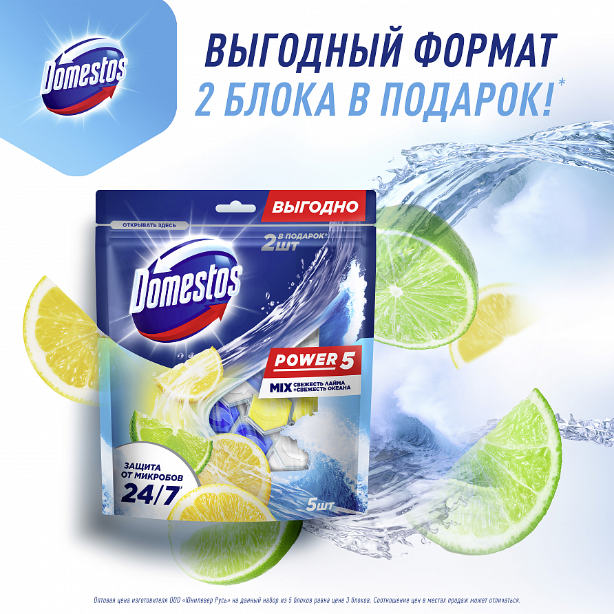 Блок для унитаза Domestos Power 5 Свежесть лайма и свежесть океана, 250г