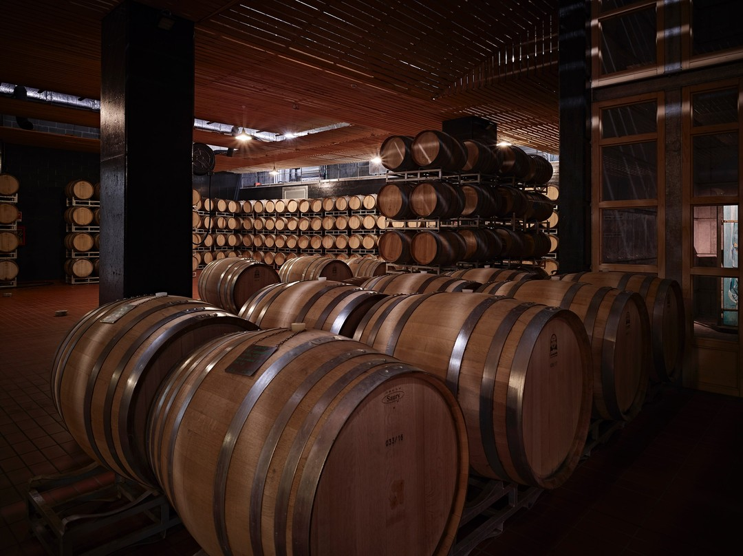 Вино Lavis Pinot Grigio белое сухое, 0.75л