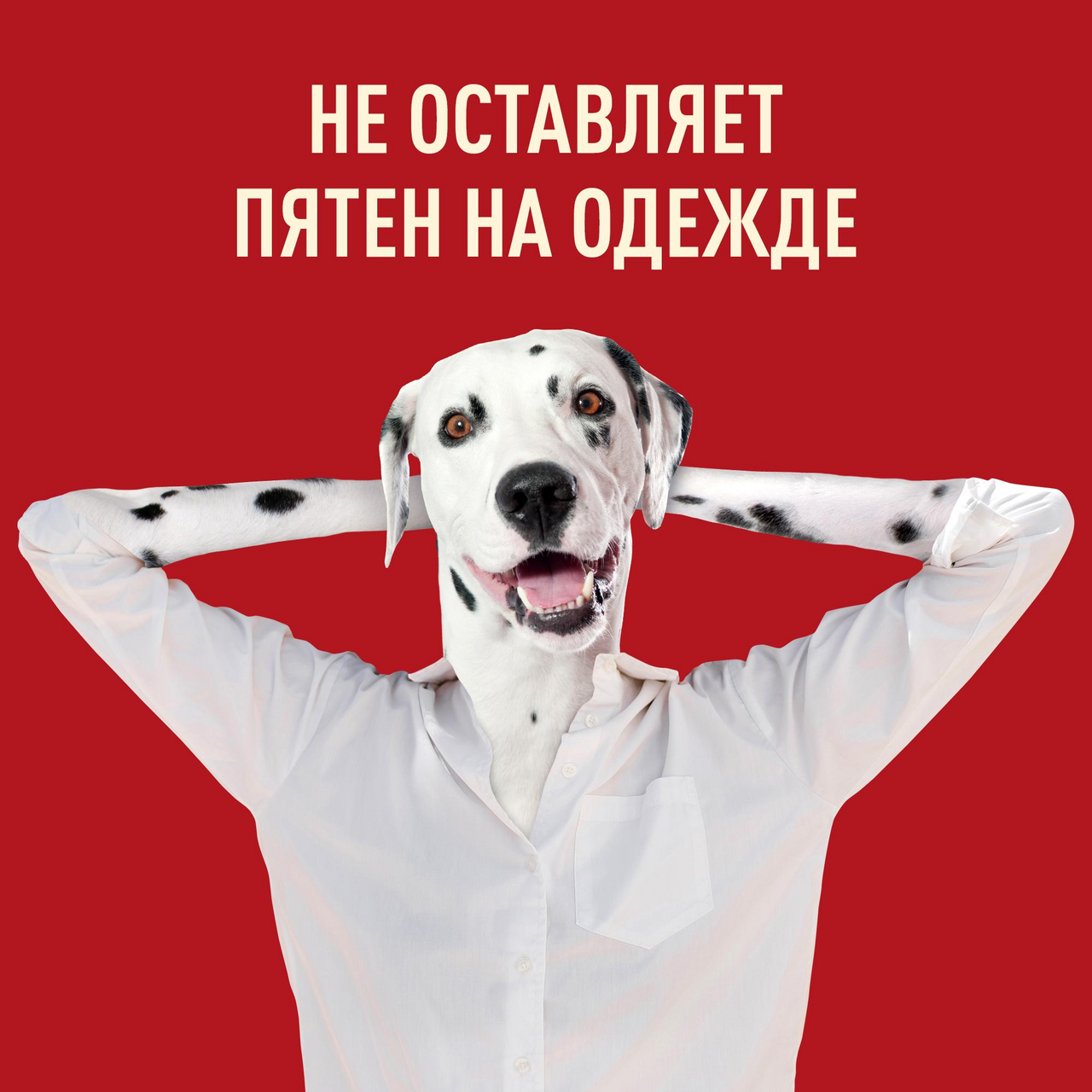 Твёрдый дезодорант Old Spice Wolfthorn 50мл