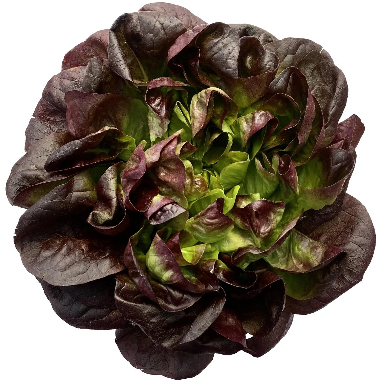Салат красный Бостон Superfood, 150 г