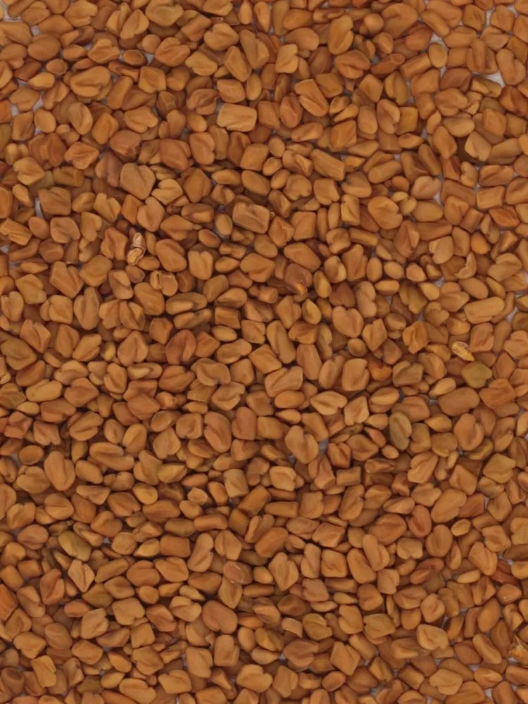 Пажитник Kotanyi целый шамбала семена, 15г