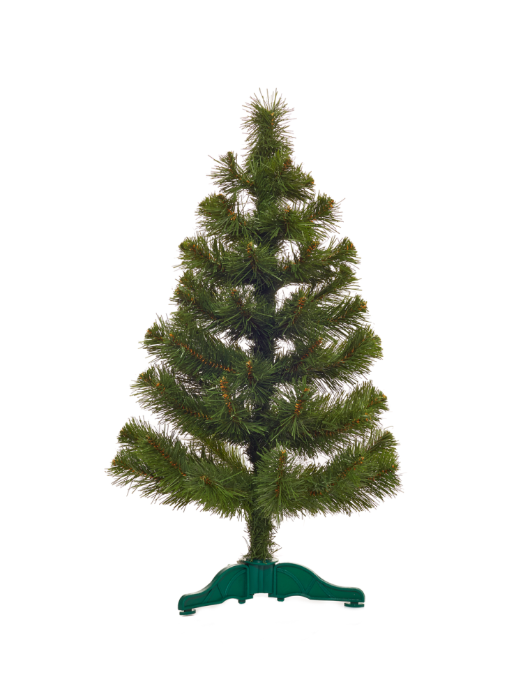 Сосна, 85 см Tarrington House