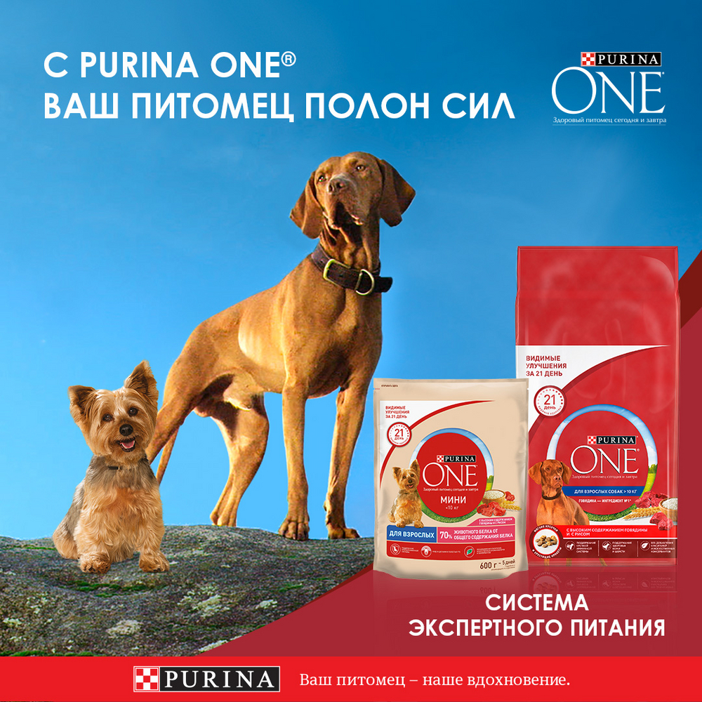 Корм Purina Мини для собак мелких пород с индейкой морковью и горохом в подливе 85 г