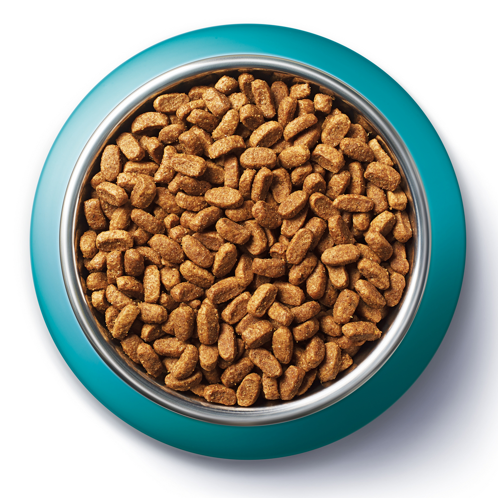 Корм сухой Purina One для красивой шерсти, с курицей и цельными злаками 750г